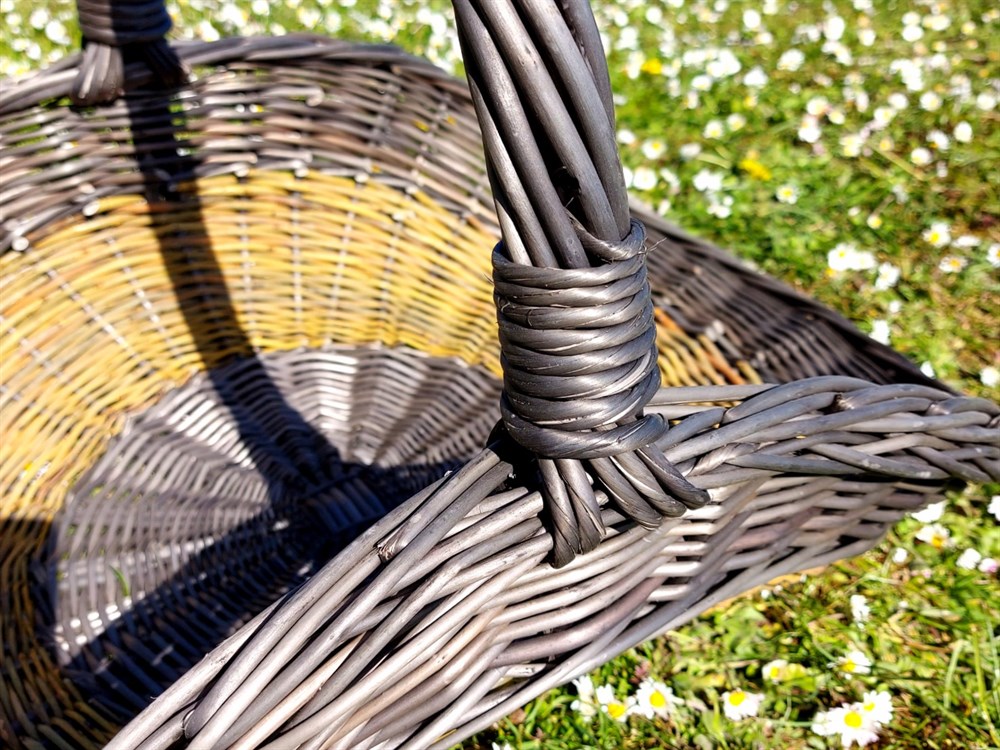 Bøgetræ til brænde